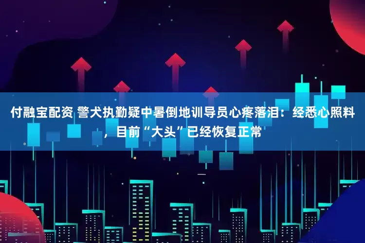 付融宝配资 警犬执勤疑中暑倒地训导员心疼落泪：经悉心照料，目前“大头”已经恢复正常