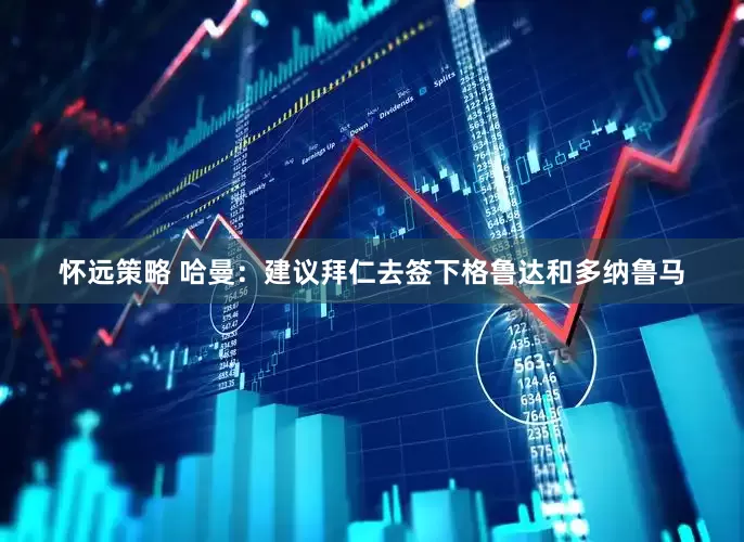 怀远策略 哈曼：建议拜仁去签下格鲁达和多纳鲁马