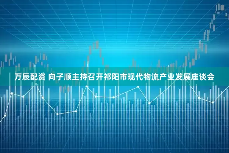 万辰配资 向子顺主持召开祁阳市现代物流产业发展座谈会
