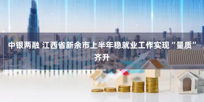 中银两融 江西省新余市上半年稳就业工作实现“量质”齐升